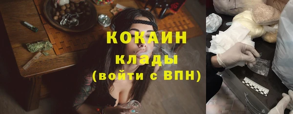 apvp Алзамай