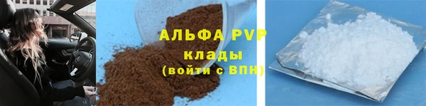 apvp Алзамай