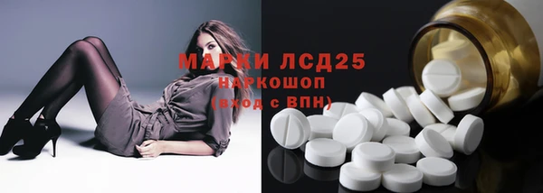 apvp Алзамай