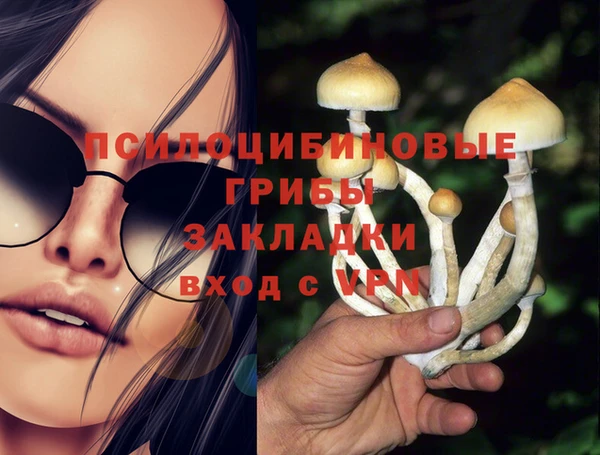 амфетамин Алексеевка