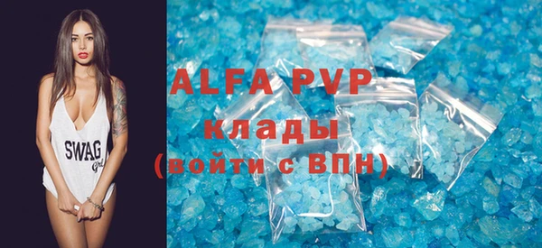 стафф Алексин