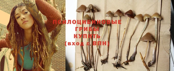 apvp Алзамай